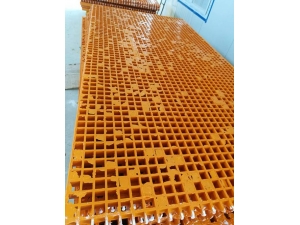 玻璃钢格栅 (17)